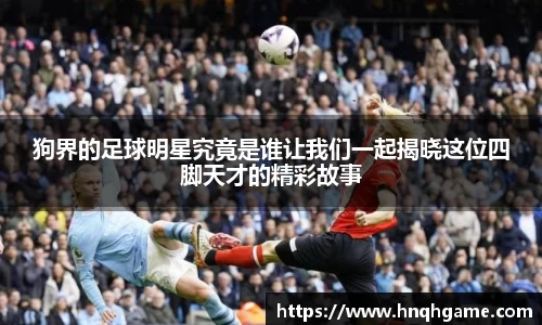 狗界的足球明星究竟是谁让我们一起揭晓这位四脚天才的精彩故事